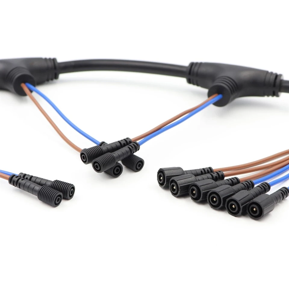 M12 2-6 Pin T-סוג מכלול כבל עמיד למים עבור ציוד לרכב IP67
